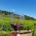 L'escale Occitane * Alzonne