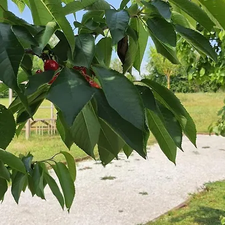 Kemping L'escale Occitane *