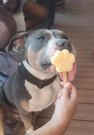 Kemping L'escale Occitane Alzonne