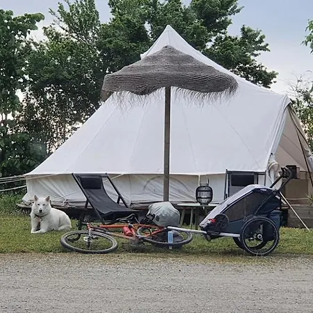 L'escale Occitane Camping Alzonne