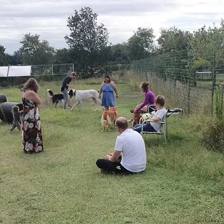 L'escale Occitane Alzonne