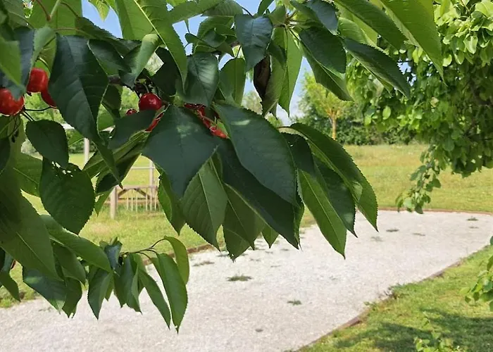 캠프장 L'escale Occitane *