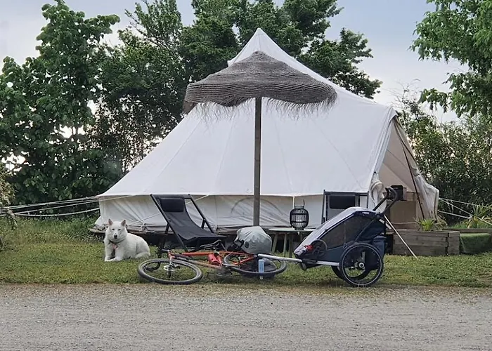 L'escale Occitane 캠프장 Alzonne