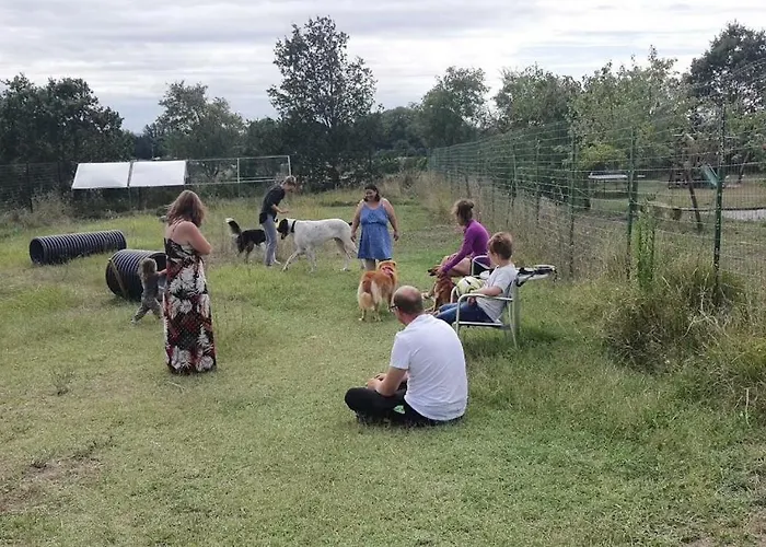 L'escale Occitane Alzonne